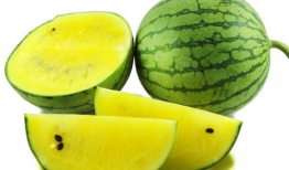 化妆师吃瓜爆料图片高清